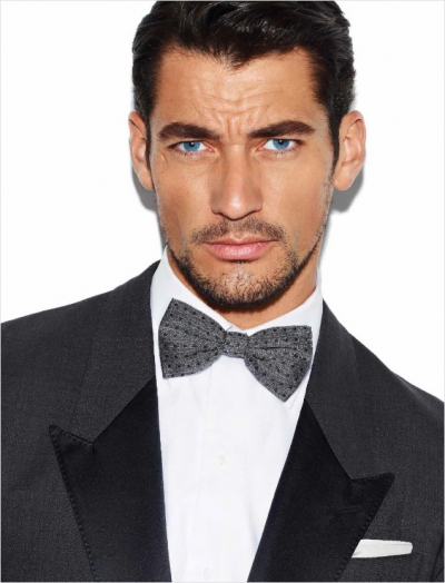 David Gandy