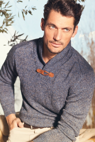 David Gandy