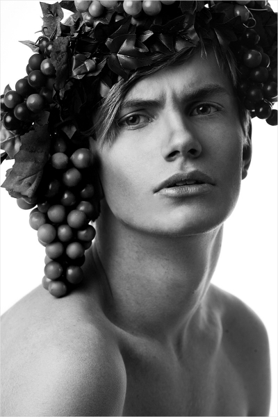 Verena Mandragora