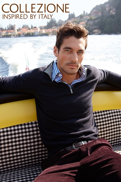 David Gandy