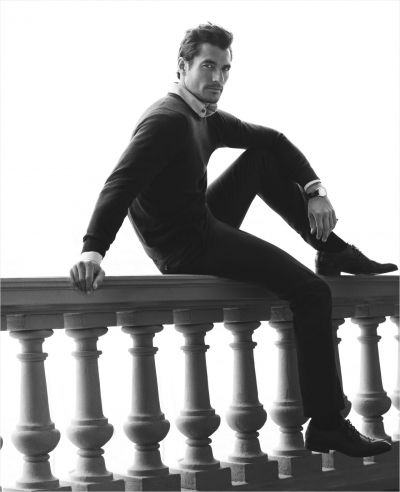 David Gandy