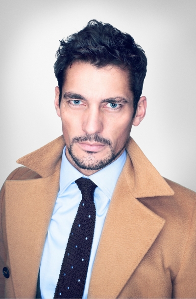 David Gandy