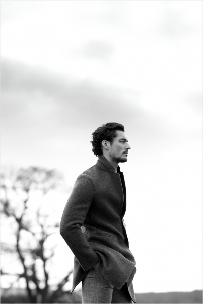 David Gandy