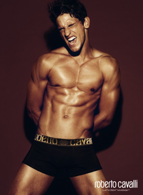 roberto cavalli