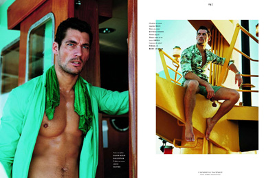 David Gandy
