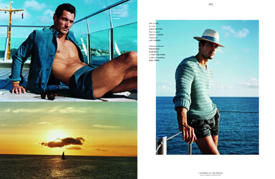 David Gandy