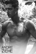 andre ziehe