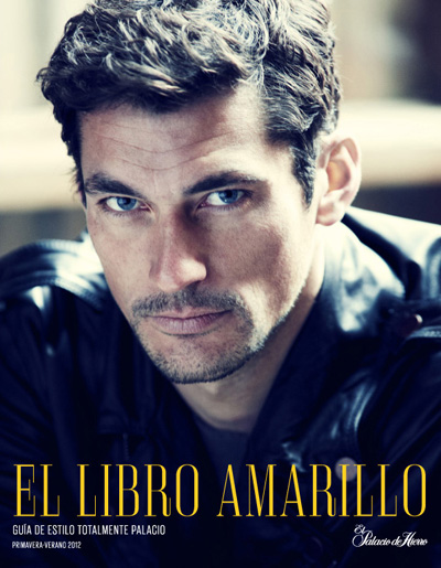 David Gandy