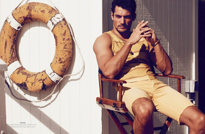 David Gandy