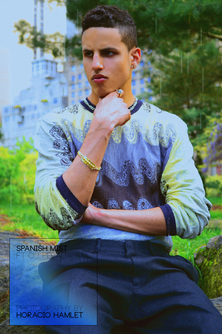 Horacio Hamlet