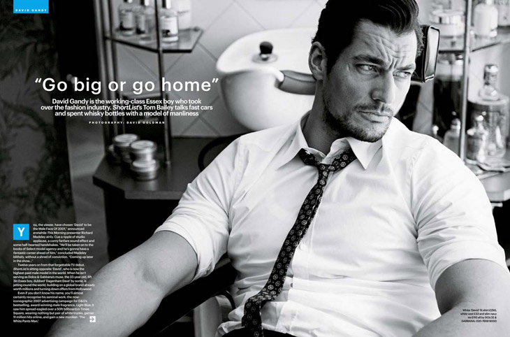 David Gandy