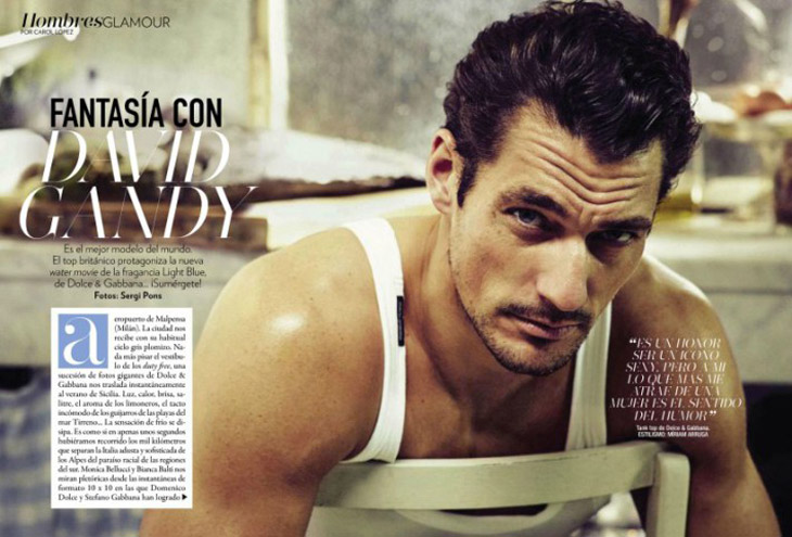 David Gandy