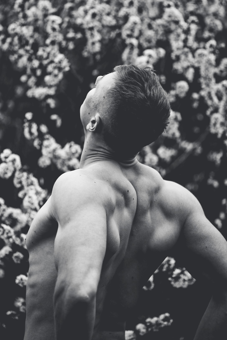 AIM Model Management