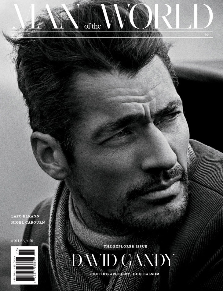 David Gandy