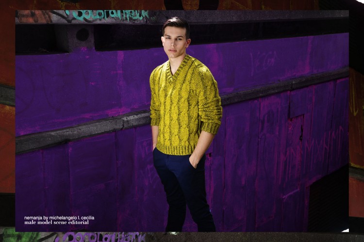 Nemanja-Michelangelo-L-Cecilia-02