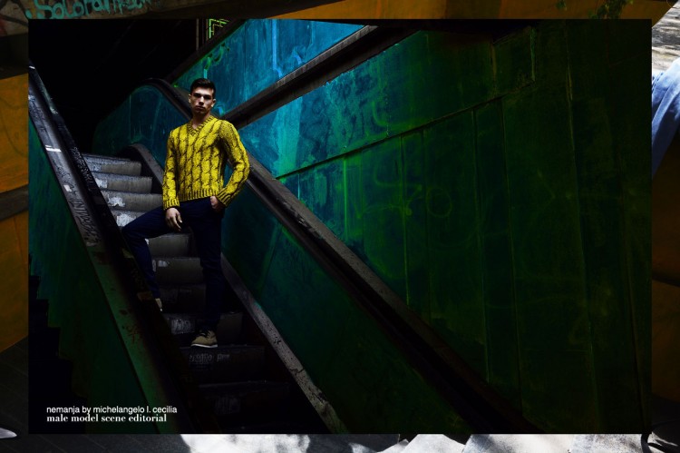Nemanja-Michelangelo-L-Cecilia-06