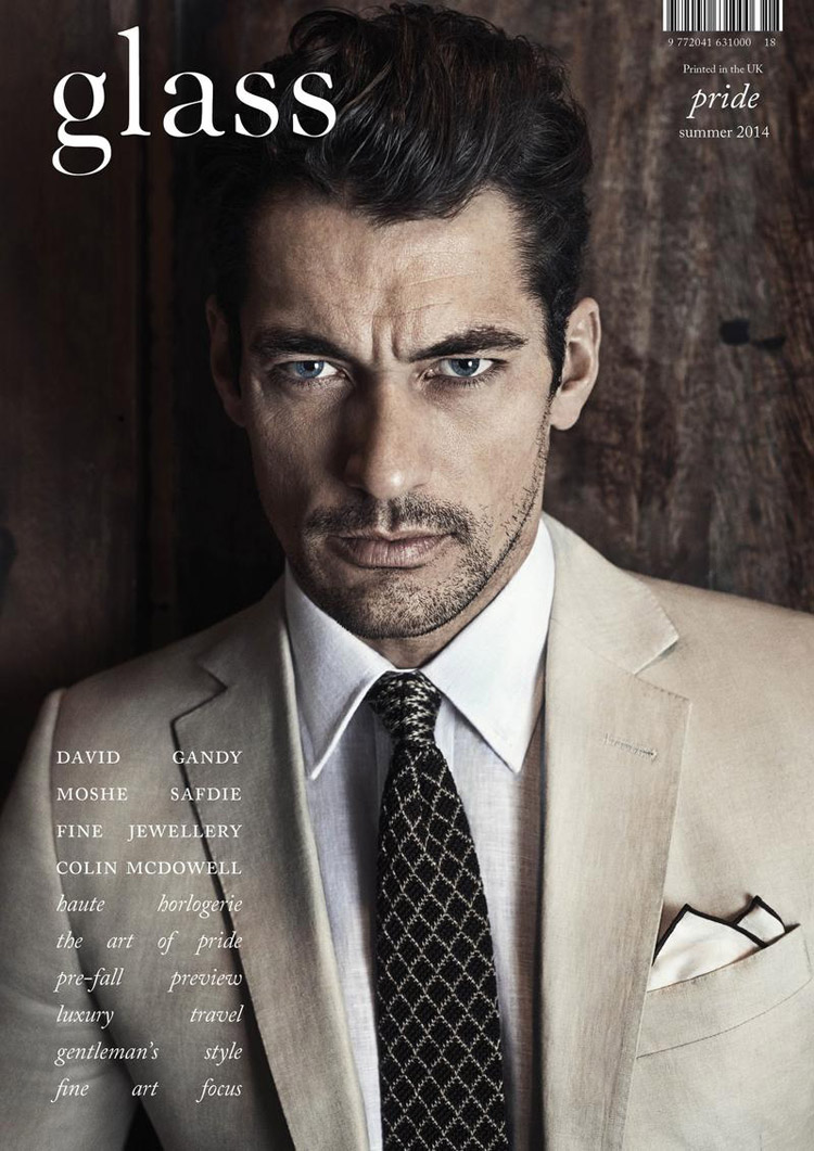 David Gandy