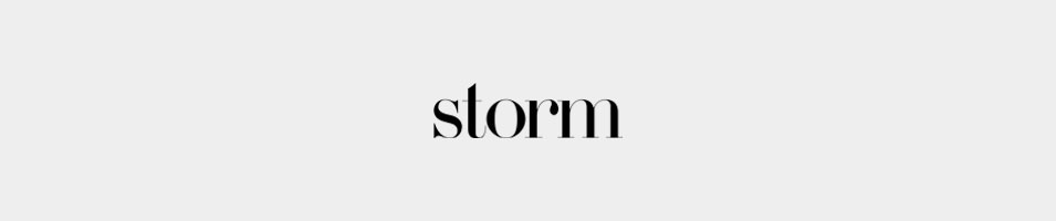 storm models