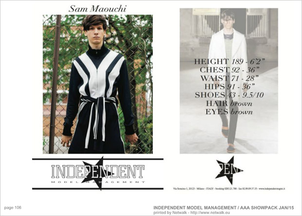 IndependentModelManagement 105