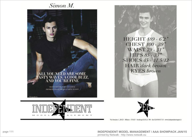 IndependentModelManagement 110