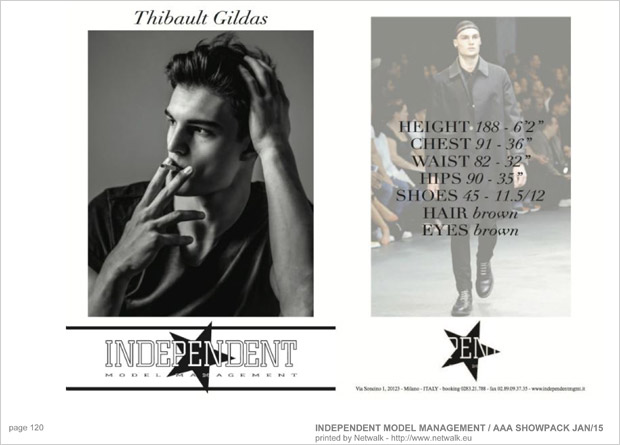 IndependentModelManagement 119