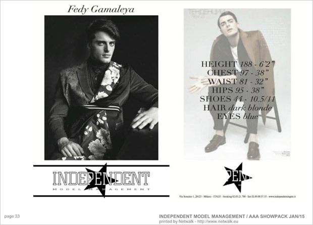 IndependentModelManagement 32