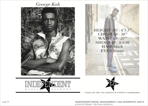IndependentModelManagement 36