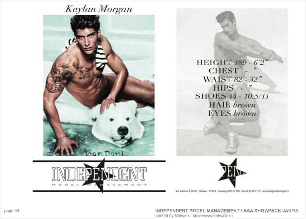 IndependentModelManagement 63