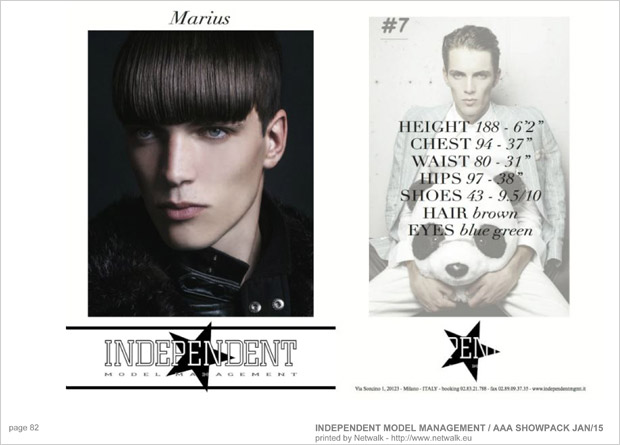 IndependentModelManagement 81
