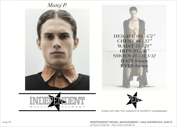 IndependentModelManagement 82