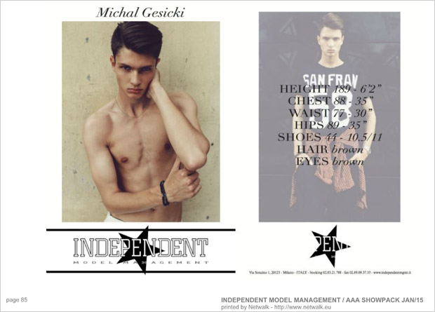 IndependentModelManagement 84
