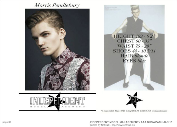 IndependentModelManagement 86