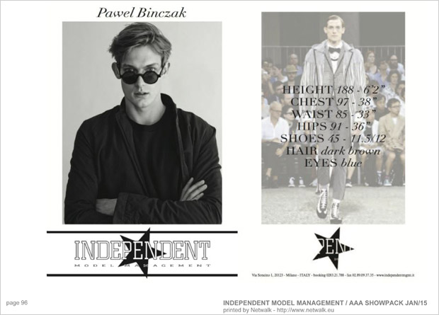 IndependentModelManagement 95