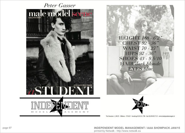 IndependentModelManagement 96