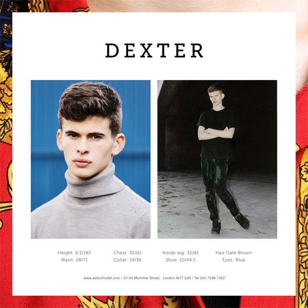 SelectModels 31