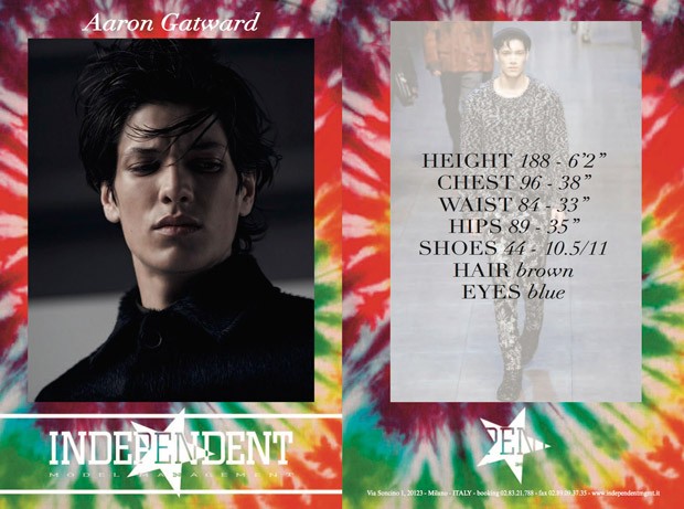 Independent Model Management