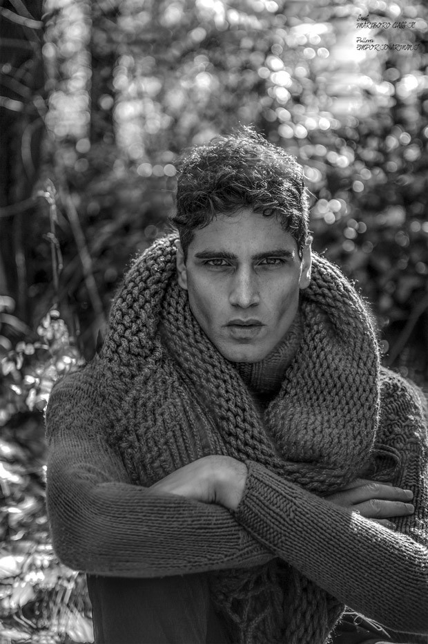 FabioMancini