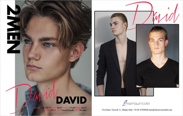 DAVID
