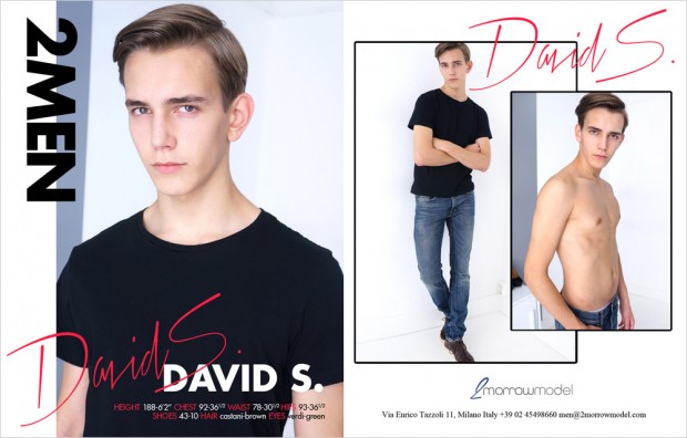 DAVID_S.
