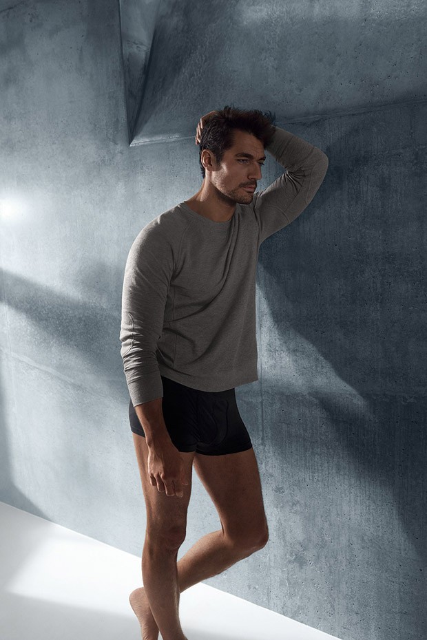 DavidGandy