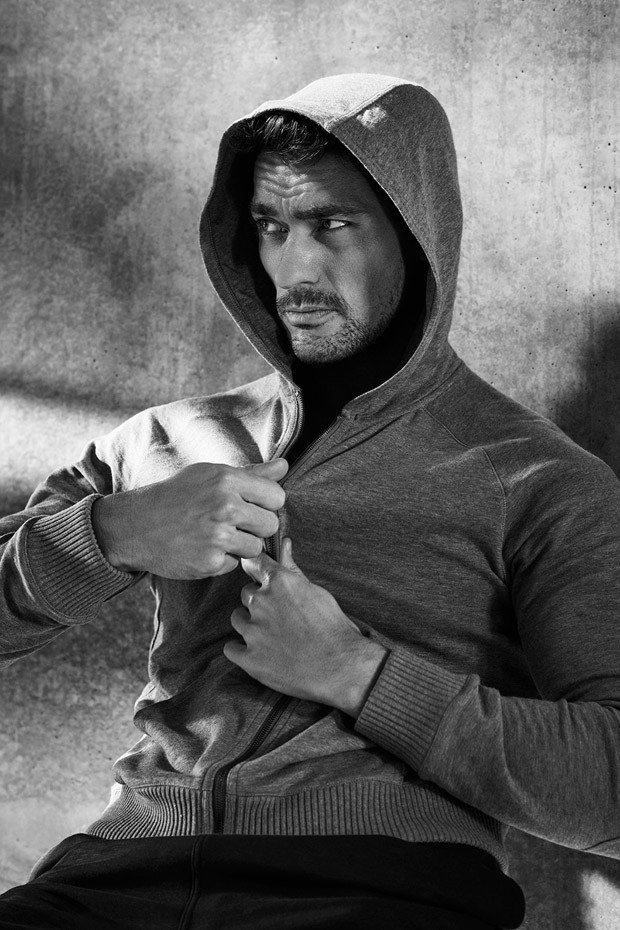DavidGandy