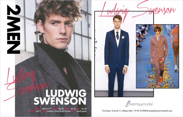 LUDWIG_Swenson