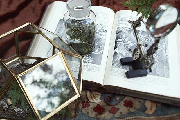 onthetracksofcharlesdarwin_christinahasenauer_07