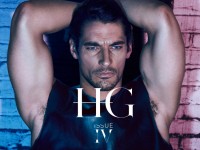 David Gandy