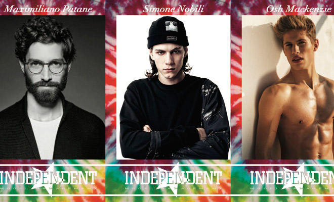 Independent Model Management