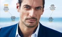 David Gandy