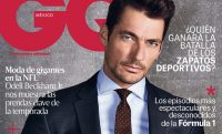 David Gandy