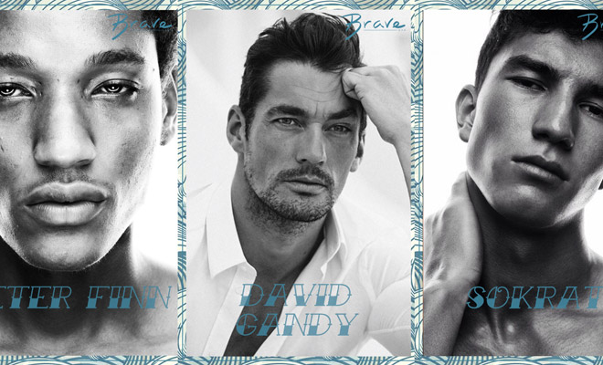 Brave Model Management