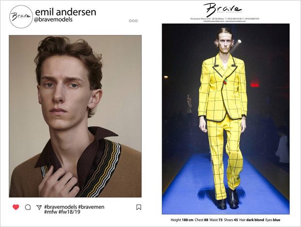 Brave Model Management