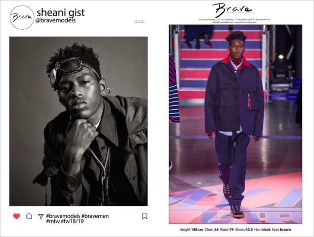 Brave Model Management